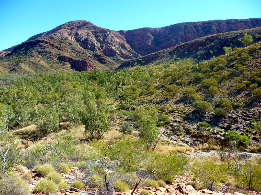 Near Glen Helen is the Ormiston Gorge, which has a permanent waterhole that is good for swimming. The Ormiston Pound Walk is a 9 km circuit, and is one of the best walks in the West MacDonnell Ranges. It took us 4 hours to complete the walk.