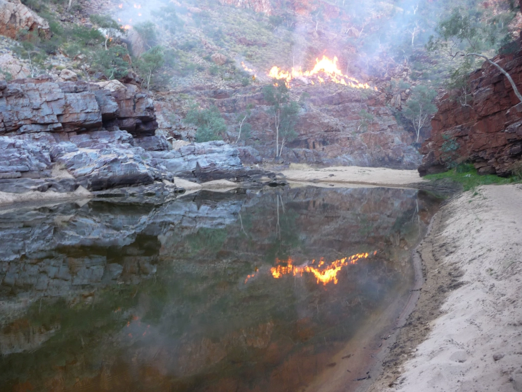 When we returned to the waterhole, the park ranger did some back burning.