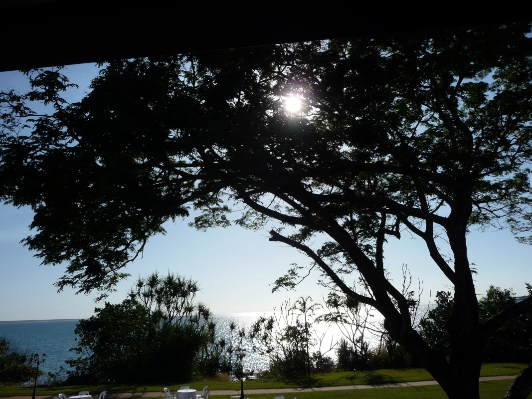 The Esplanade is a popular walking path with lots of shade, cool sea breezes, and gorgeous views of Darwin's coastline. It is very close to Darwin's CBD.