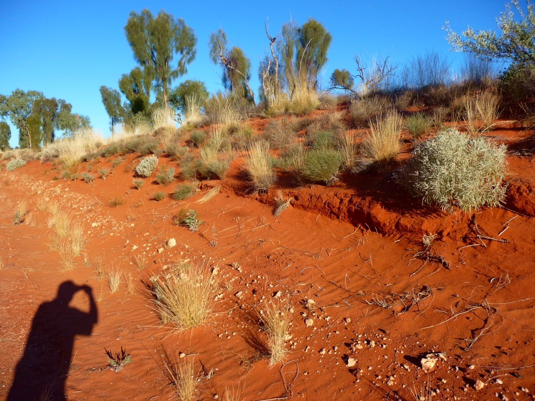 You see, while is called the red centre.