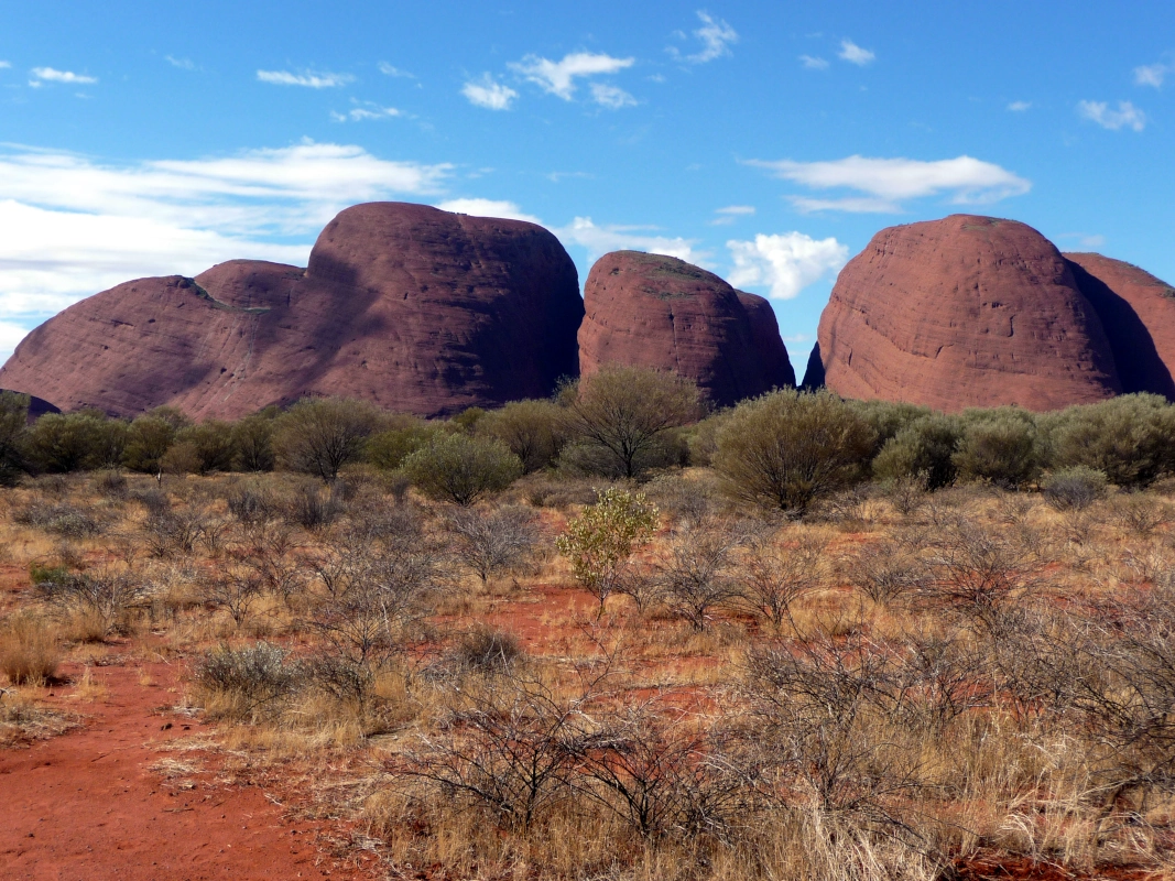 Kata Tjuta - Olgas view from the entrance car park.