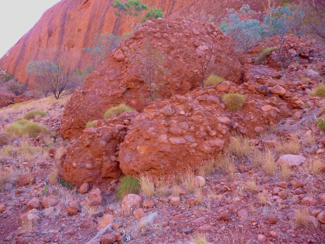 Beautiful, conglomerate boulders in Kata Tjuta