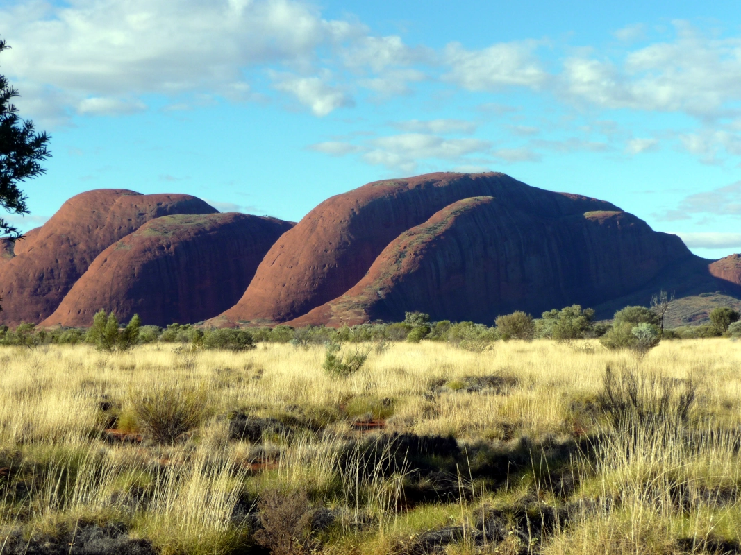 The Kata Tjuta dune viewing area offers a magnificent panoramic view of the domes.