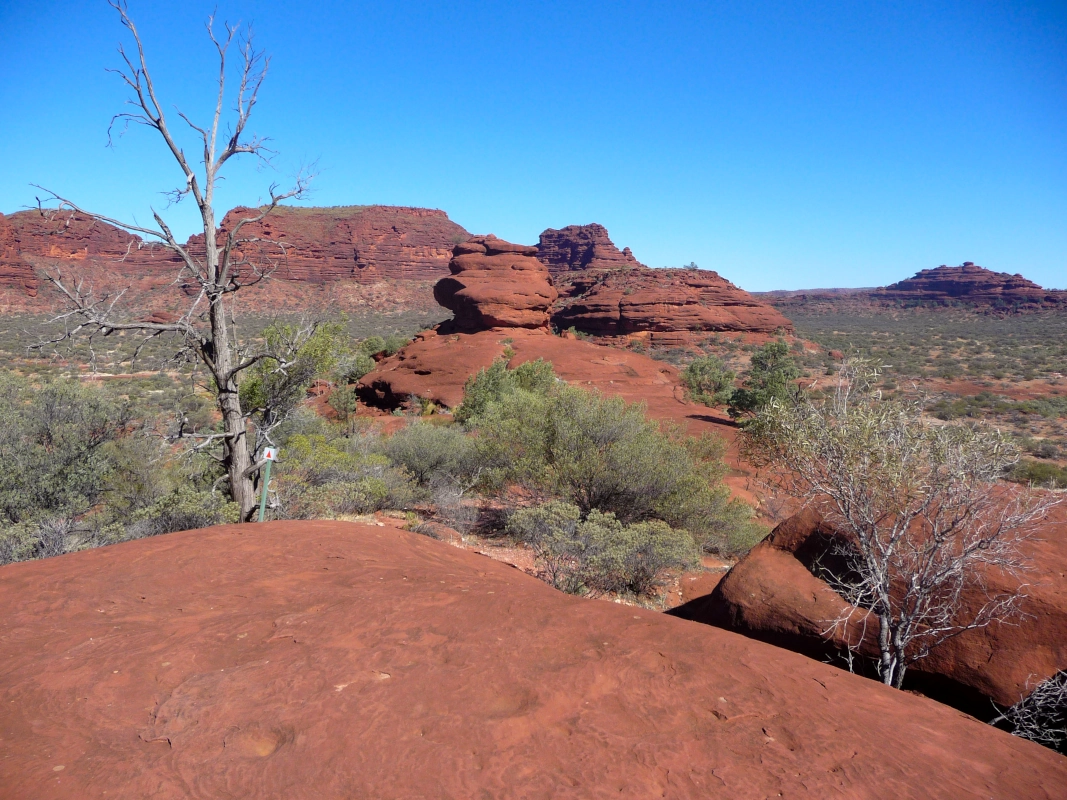 View of the beautiful red rock formation.