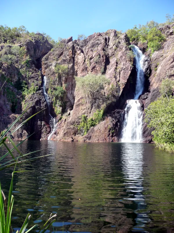  We went swimming at Wangi Falls, one of Litchfield National Park's most popular swimming holes. Australia