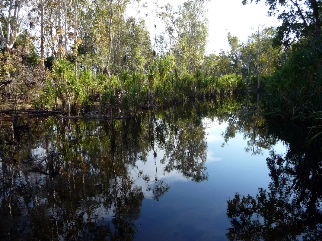 Leliyn Trail is a pleasant walk that takes about an hour and has a nice view over the Edith River.