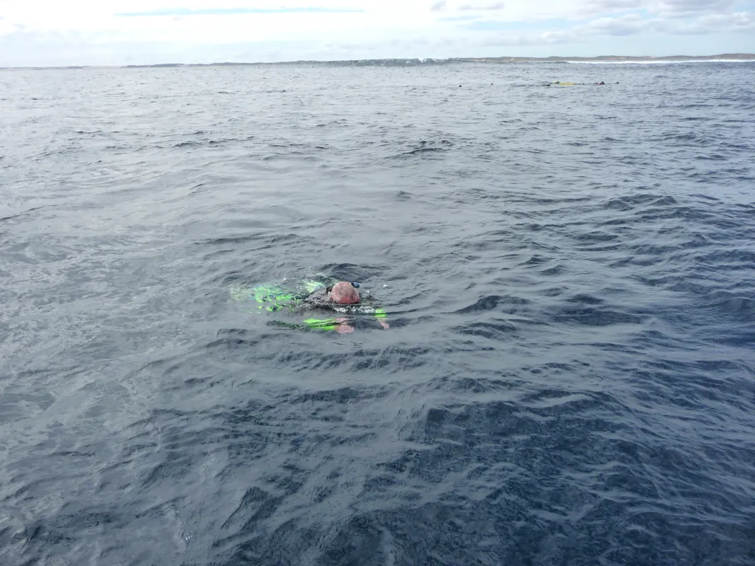 Then, we embarked on our first boat tour at the Ningaloo Reef with Ningaloo Glass Bottom Boat from Exmouth. During the tour, we had the chance to test out our snorkelling skills. It was a well-organised experience, and we would highly recommend it to others.