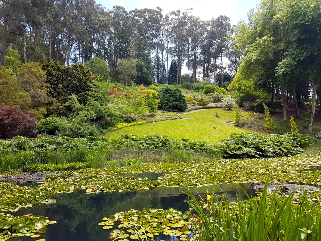 Finally, on our way to Adelaide Airport, we visited Mount Lofty Botanic Garden. It's a beautiful place to enjoy nature's beauty and tranquillity, with many lovely walks.