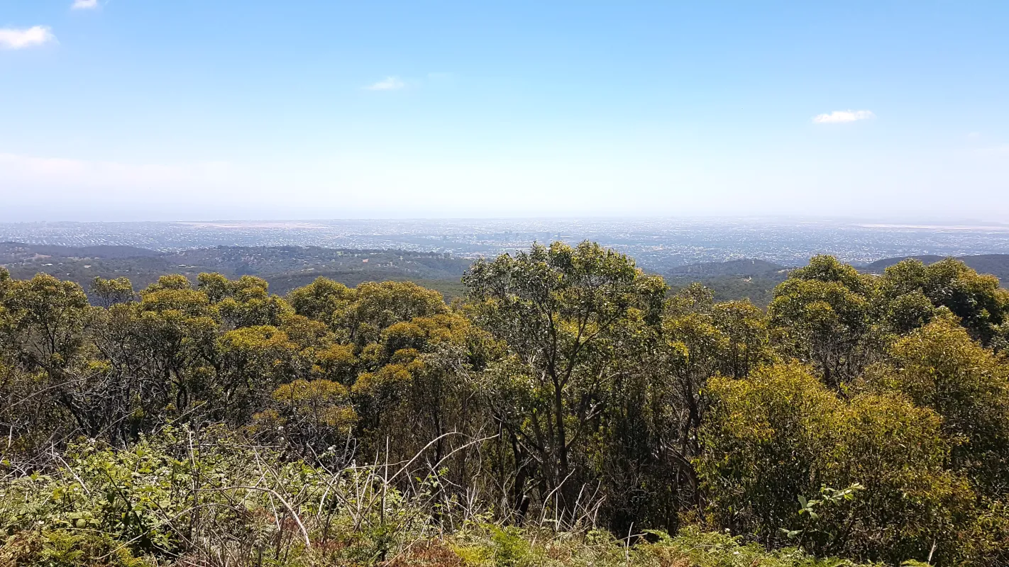 Mount Lofty Summit is in the Adelaide Hills and rises over 710 metres above sea level. Therefore, you have breathtaking panoramic views of Adelaide's city skyline and the coastline.