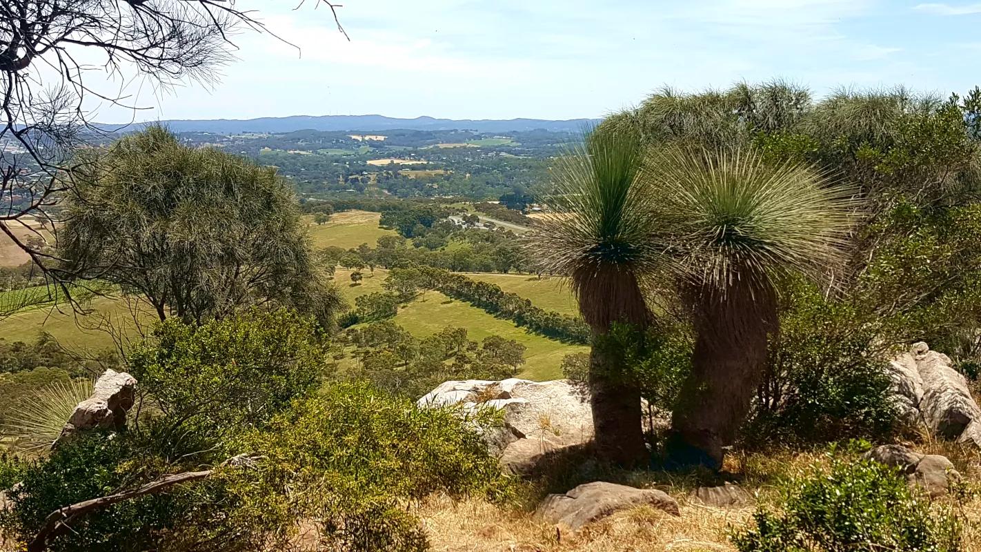 We enjoyed our time in the vineyards, the relaxing walks, the magnificent flowers, and the lovely birds. Just as we reached the summit of Mount Barker, Adelaide Hills,, we received a phone call that changed our plan once more. This time due to a five-day lockdown in South Australia.