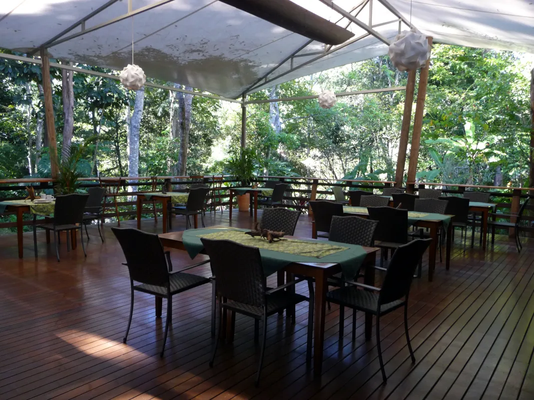 The next three days we stayed at the Cedar Park Rainforest Resort near Kuranda. We enjoyed exploring the 10-acre property and watching the wildlife. The restaurant, which is surrounded by rainforest, was beautiful, and the food was excellent. 