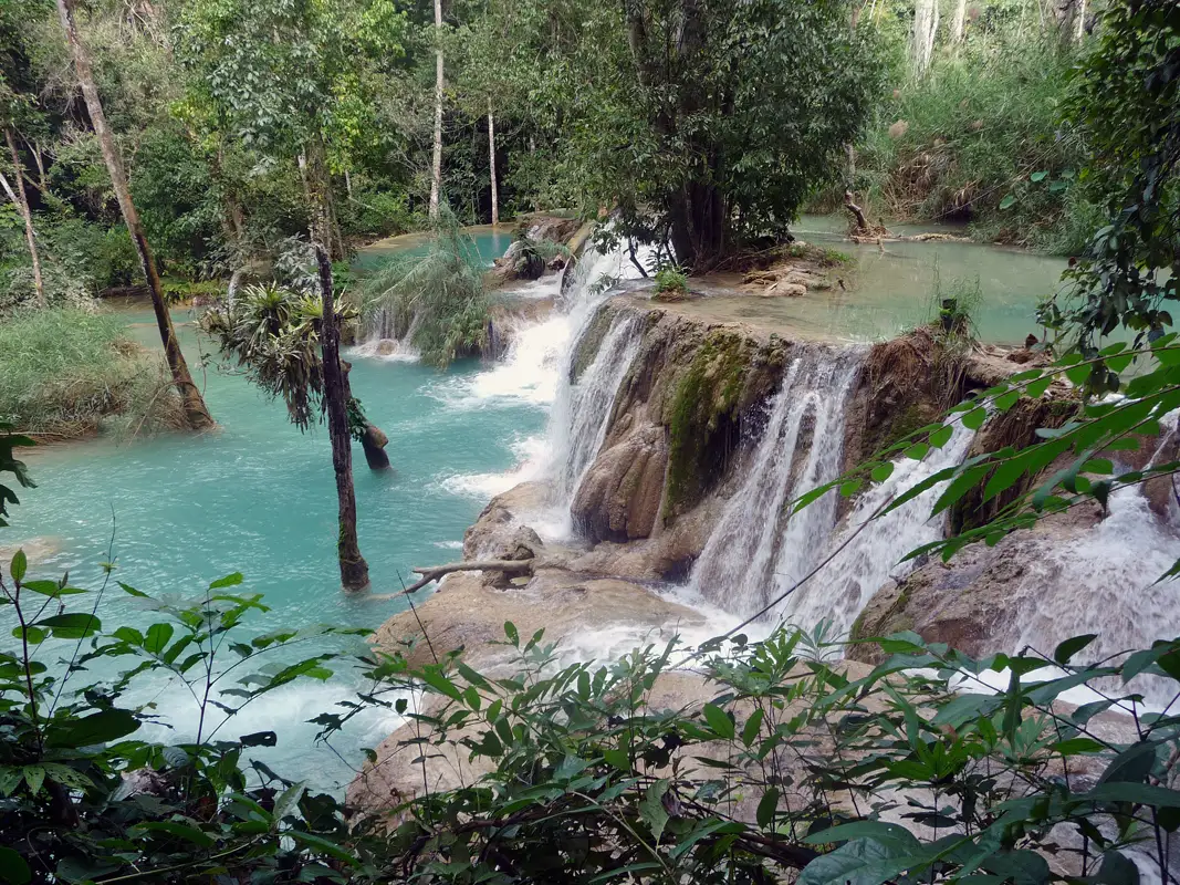 After our long hike with tiger trails , we finally arrived at Tat Sae Waterfalls. It's one of the most beautiful in Luang Prabang. Our long hike concluded with a refreshing dip in the pool.