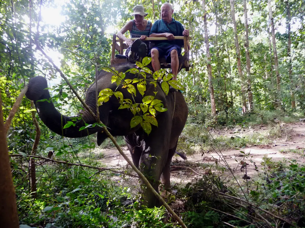 Finally, we took an elephant ride at the "Tat Sae Waterfalls" elephant sanctuary.