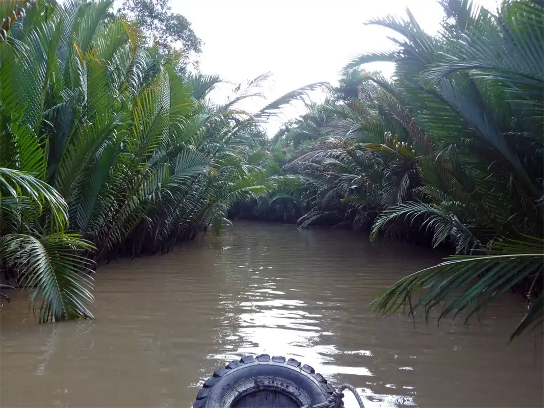 Later, we switched to a smaller boat and went along a small canal to a small settlement.