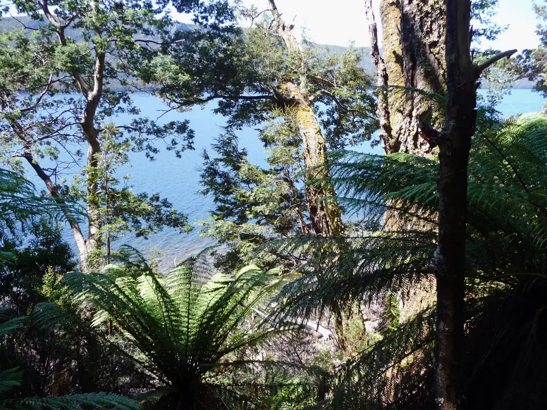 The hike from Echo Point to Cynthia Bays is the last part of the famous 6-day Overland track from Cradle Mountains.