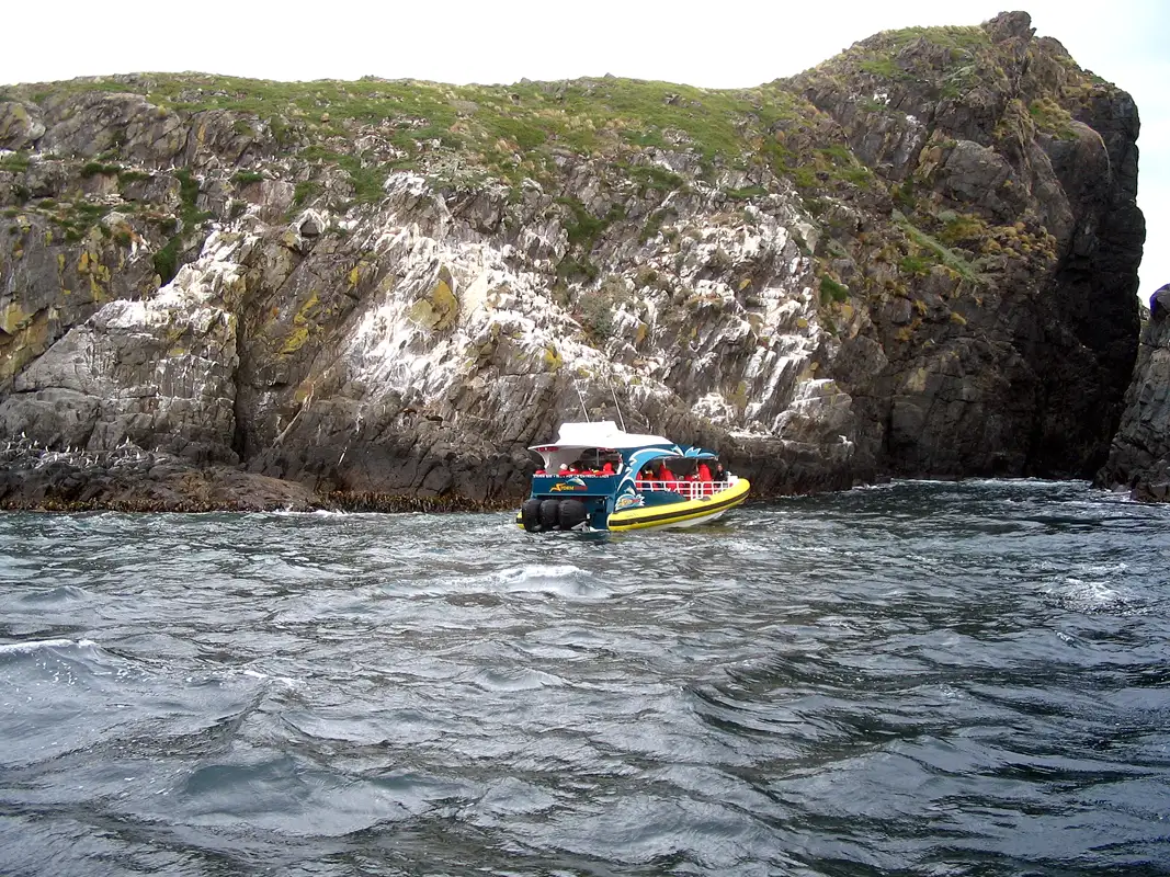 We visited Bruny Island for few days, hiking, and the highlight was a 3-hour Wilderness Cruise, exploring the rugged coastline and watching the coastal wildlife. Tasmania