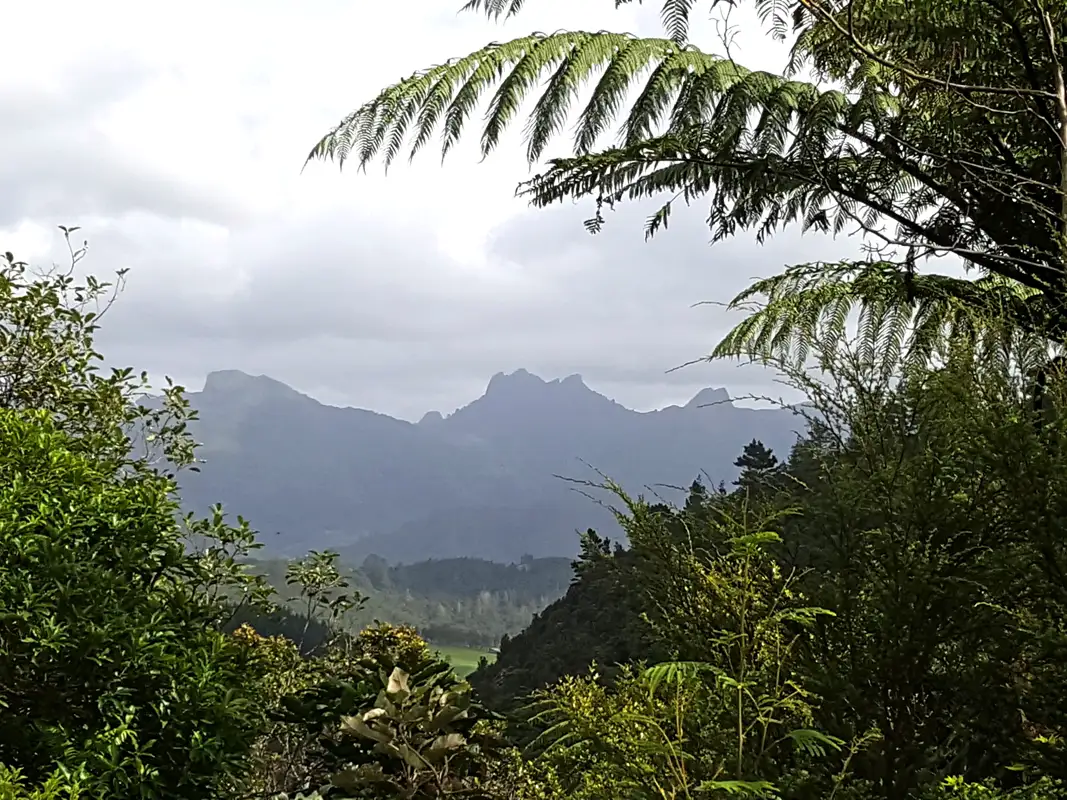 Coromandel's golden beaches are surrounded by misty forested mountains and lush valleys. New Zealand