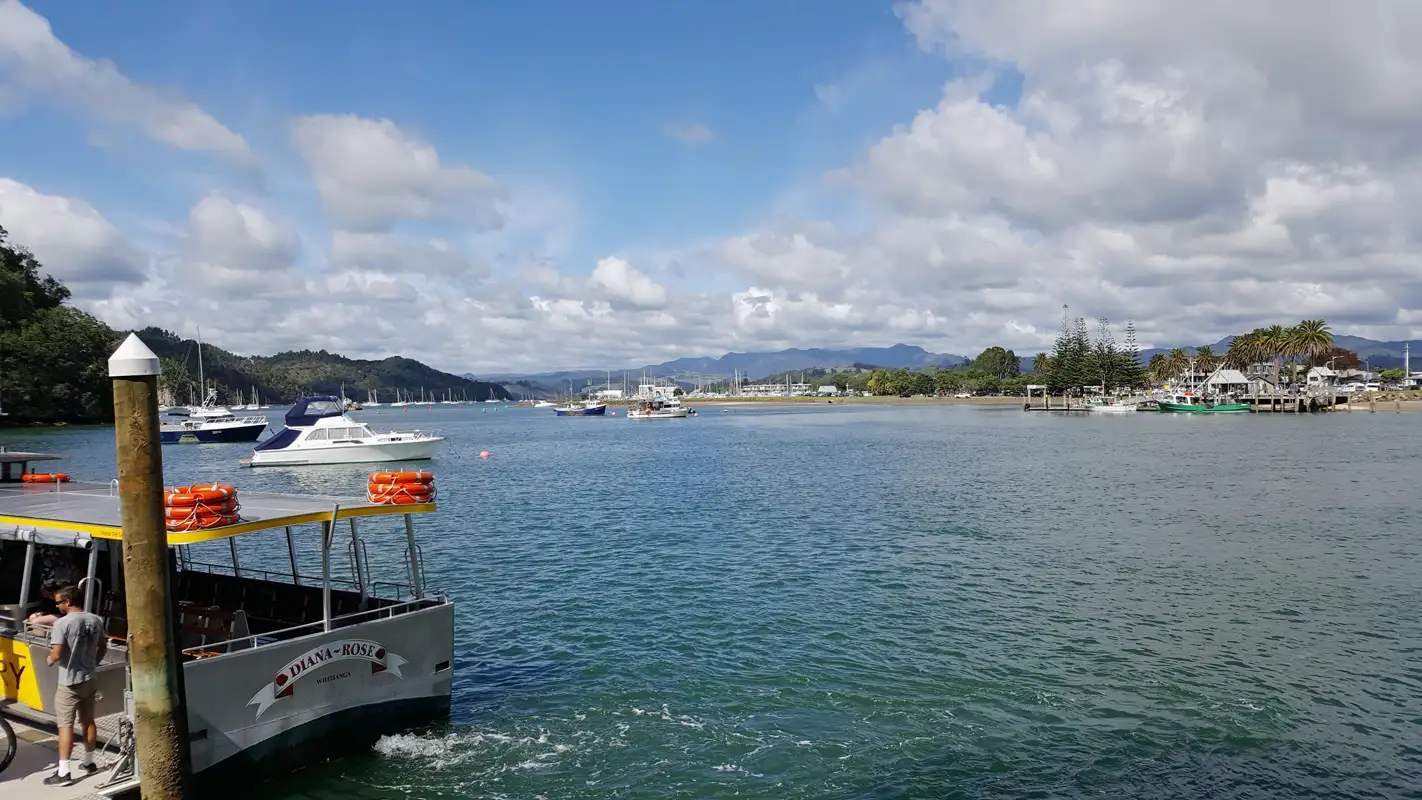 We went on a glass-bottom boat cruise along the spectacular volcanic coastline from Whitianga. Coromandel peninsular, New Zealand