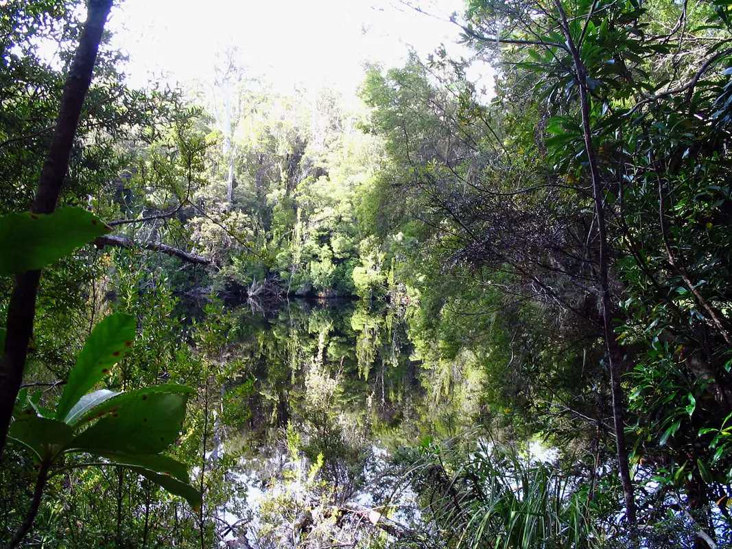 The Duckhole Lake is a sinkhole that has been filled by rainwater. Tasmania, Australia