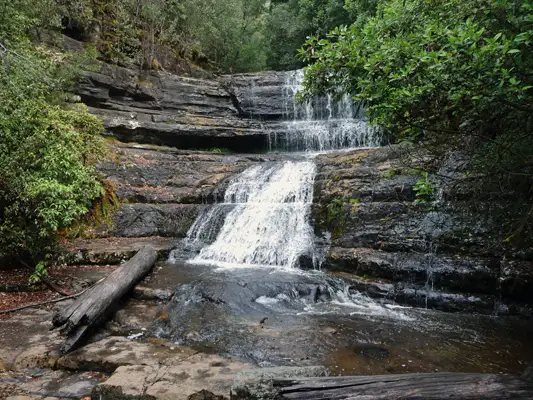 Then, from Tall Trees, you can cross Dodson Rd. and walk to Lady Barron Falls. While the hike, Russell Falls, Horseshoe Falls, Tall Trees, Lady Barron Falls, and back to the Mount Field information centre is only 4 km, but it takes about 2–3 hours.