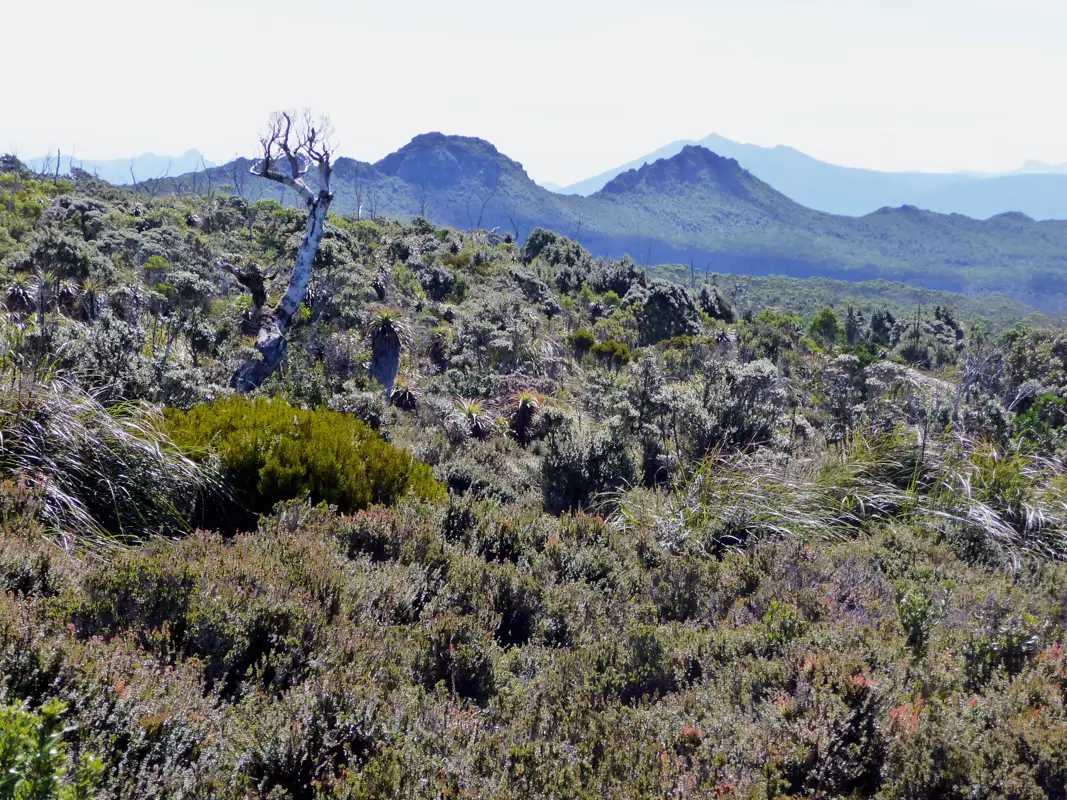 Beautiful flora and beautiful views.