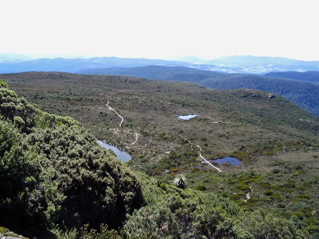 We didn't make it to Hartz Peak, 1254m, but we had a beautiful view. Could even see Bruny Island