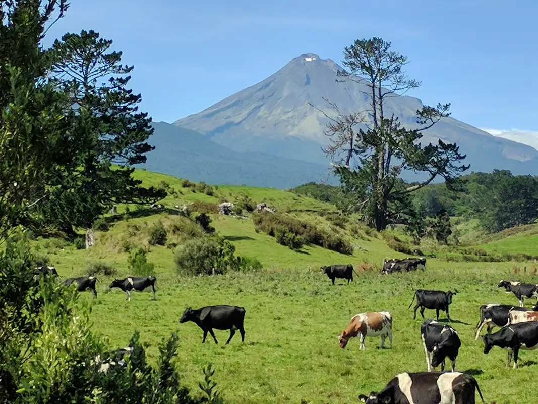 Mount Taranaki volcano is part of the Egmont National Park. It is 2518 metres above sea level and the cone is almost symmetrical. New Zealand