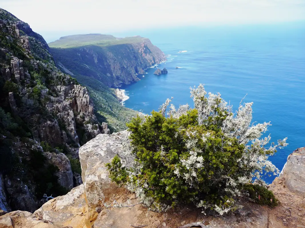 We did part of the Cape Raoul track, Tasmania,walked until we had majestic views, and enjoyed our lunch. Why walk further?