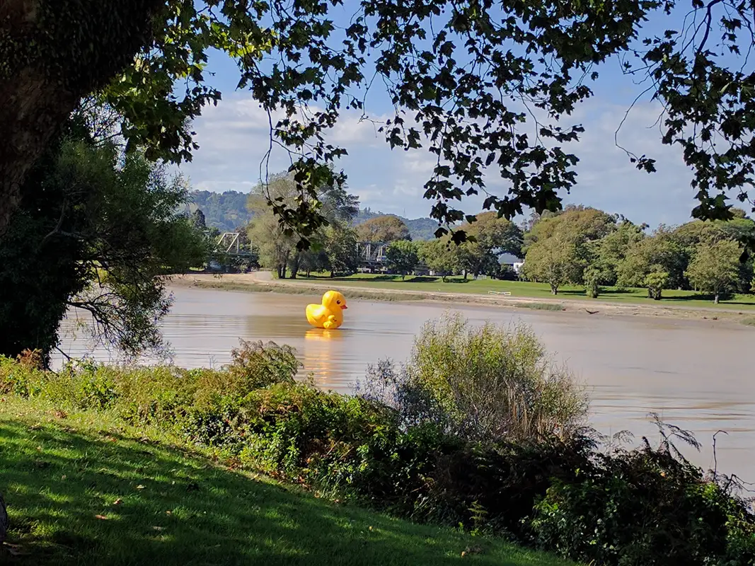 The river and its unique fauna.
Wanganui, New Zealand