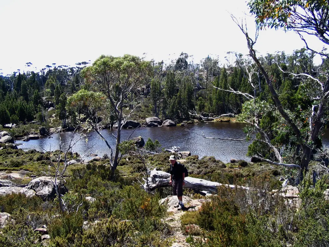 At Trapper's Hut, we had a brief rest and walked another 1km uphill until we reached a rocky plateau to a small tarn known as Solomon's Jewels.Unfortunately, we were unable to enjoy the Jewels, as a thunderstorm was approaching. We returned as quickly as possible. Tasmania