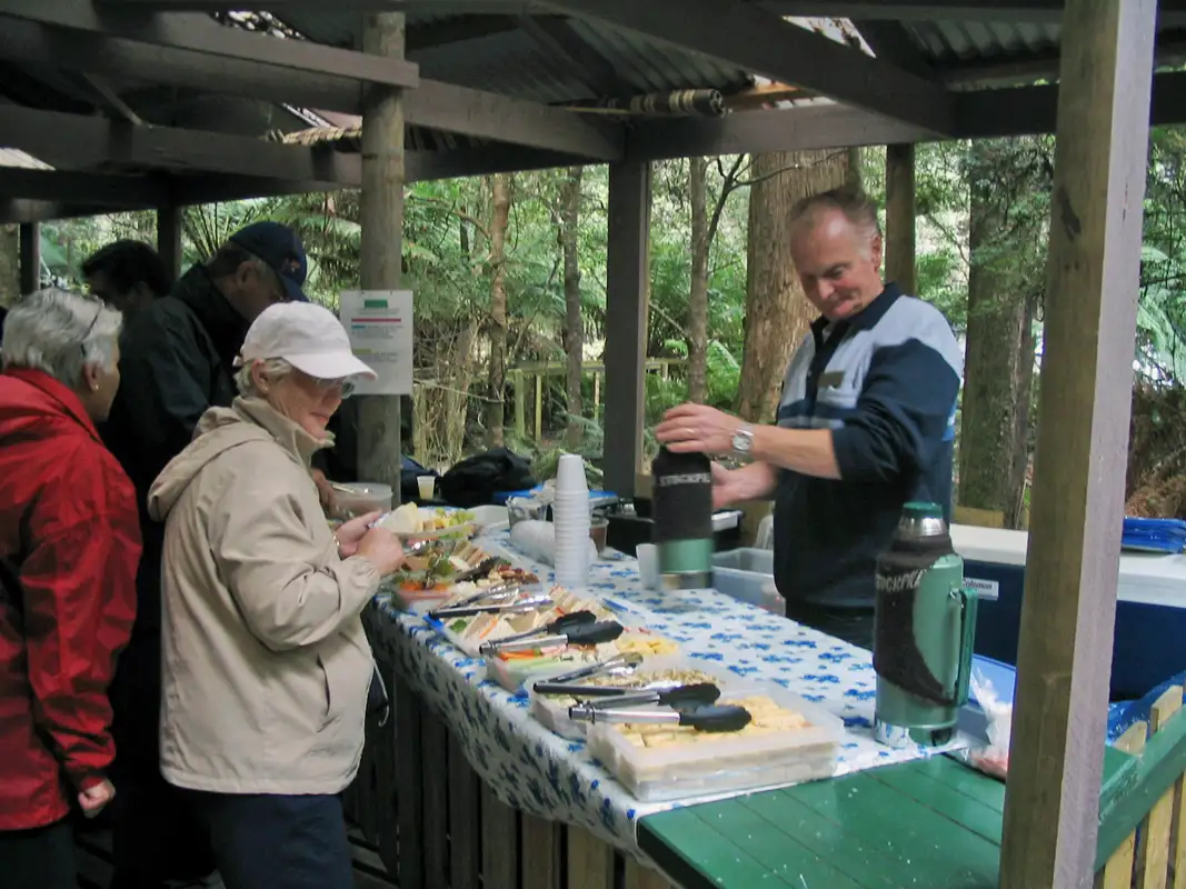 On return, we had lunch in the peaceful surrounds of the rainforest. Tasmania West Coast, Tarkine, Arthur River