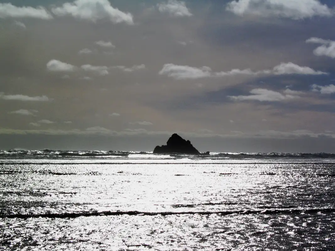 During our trip along the West Coast, we spent a few days in Arthur River, a small hamlet. From there we explored the rugged West Coast and the Tarkine wilderness