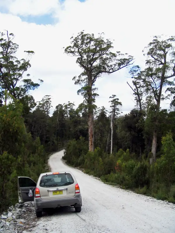 After a nice walk in the Tarkine Wilderness, we drove on the Western Explorer Road through dense forest and buttongrass plains to Corinna. Tasmania