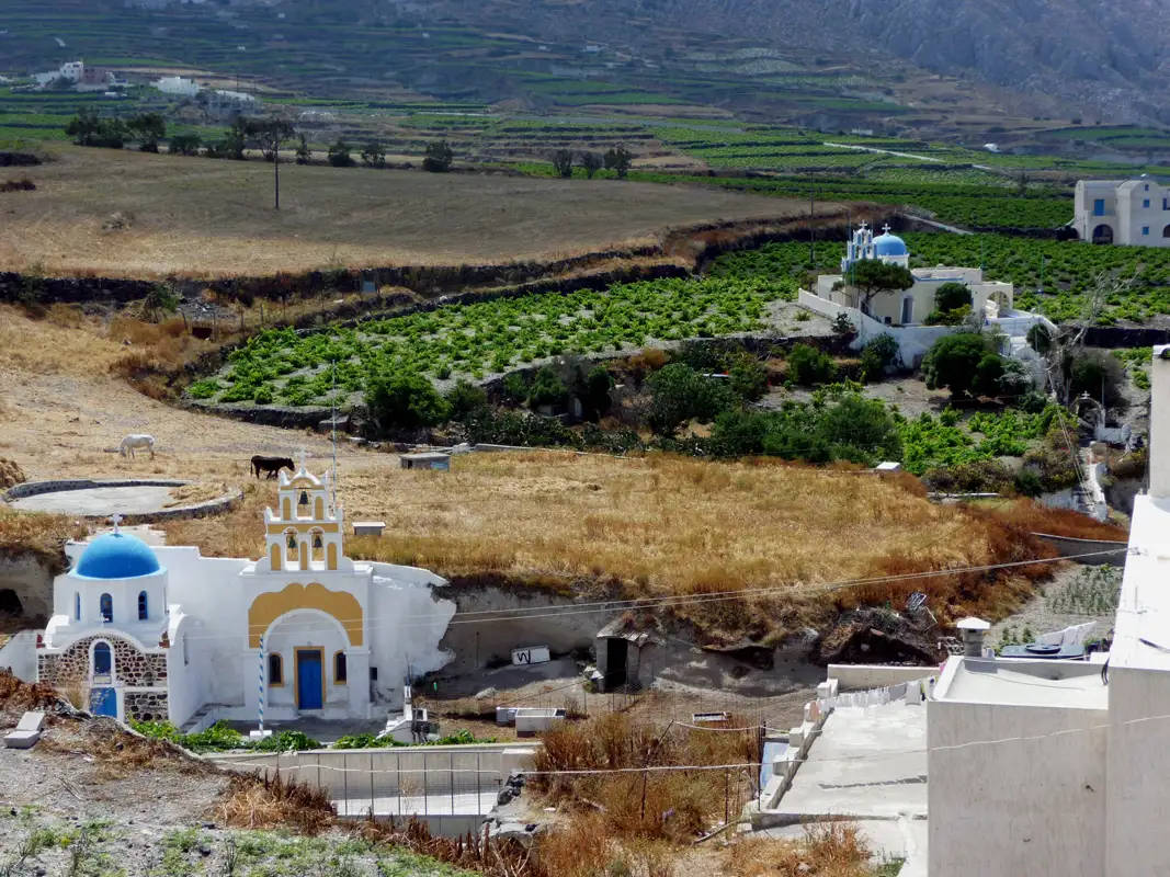 The towns of Santorini are stunning but don't miss the stunning surroundings. Many areas produce sweet, golden wine and other crops.