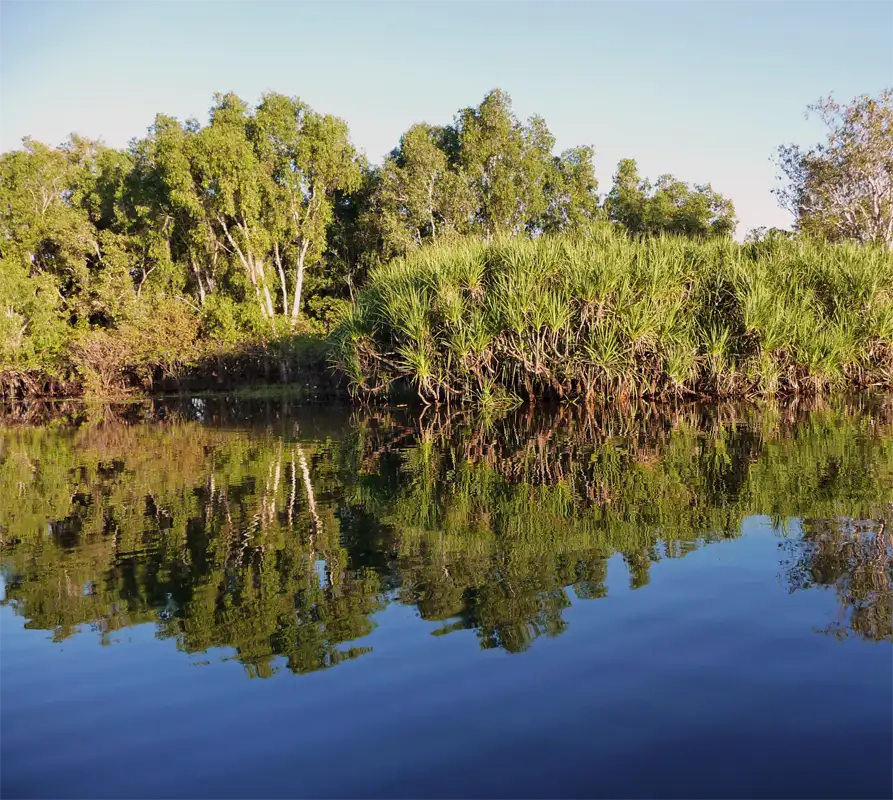 Boating through the waterways is fantastic. Moreover, the diverse wildlife and flora make it a must-see destination for nature enthusiasts.