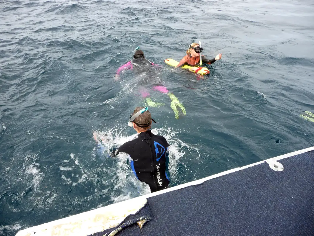 Snorkel at the outer Ningaloo Reef