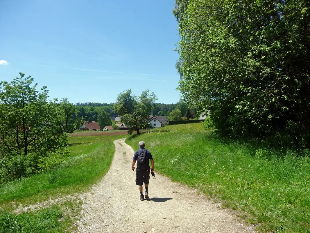 Hiking in the spring in Germany is fantastic. The meadows are green with pretty wildflowers. The deciduous trees have new leaves. We walked from one little village to another.