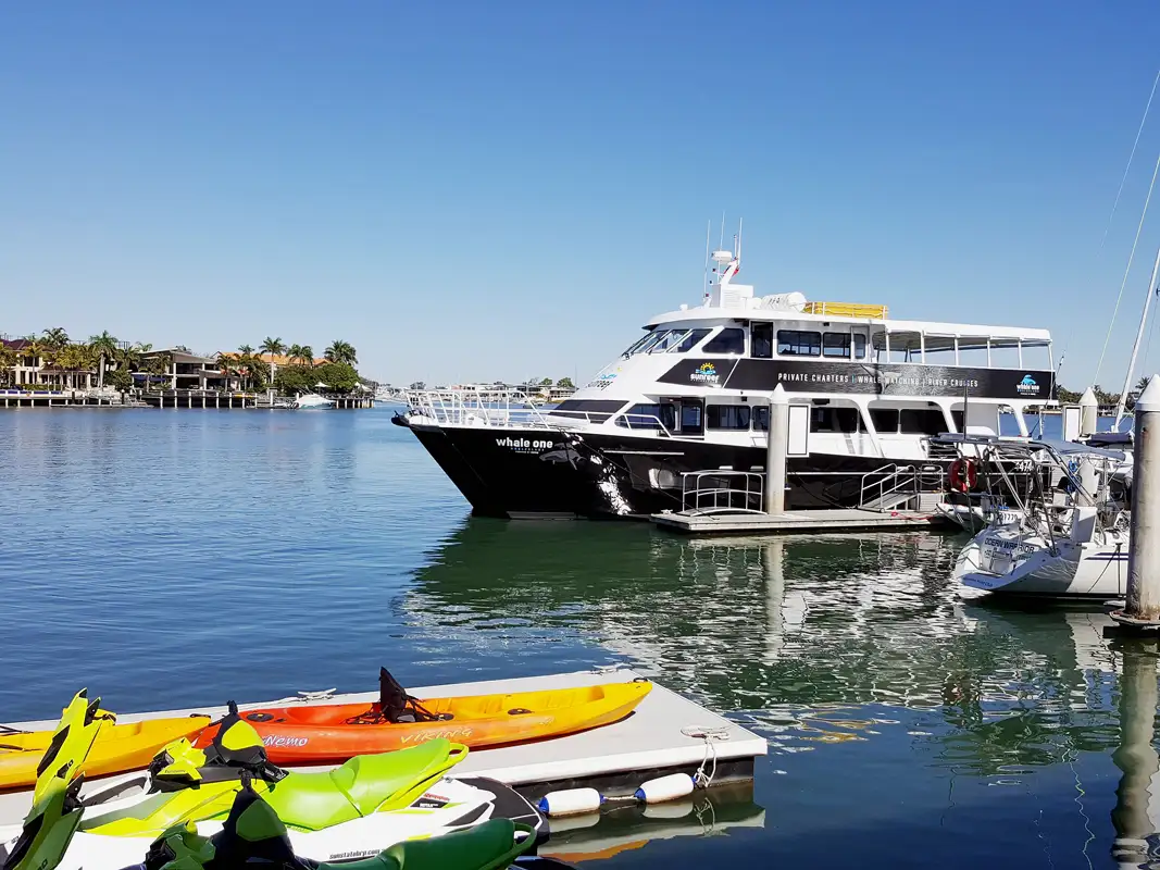 The Wharf in Mooloolaba is a wonderful place to visit. It is on the pretty Mooloolah River. There, you'll find restaurants, shops, and many things to do. There are whale watching, snorkelling, scuba diving, fishing charters and river cruises, or hire a watercraft.