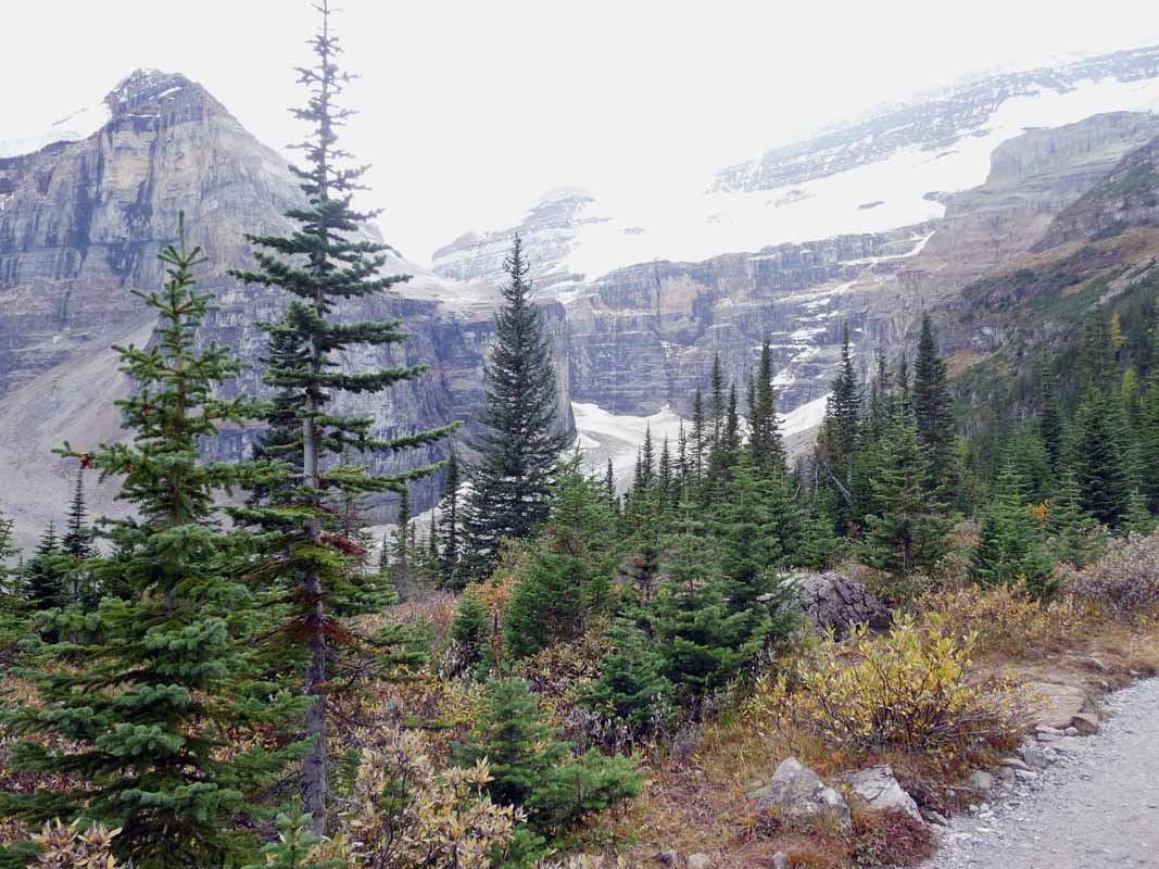 View from Plain of Six Glaciers Teahouse, one of our hiking trips

