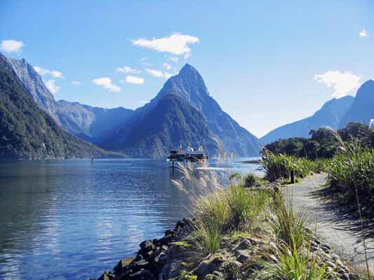 Hiking trips and scenic cruise in Milford Sound, New Zealand