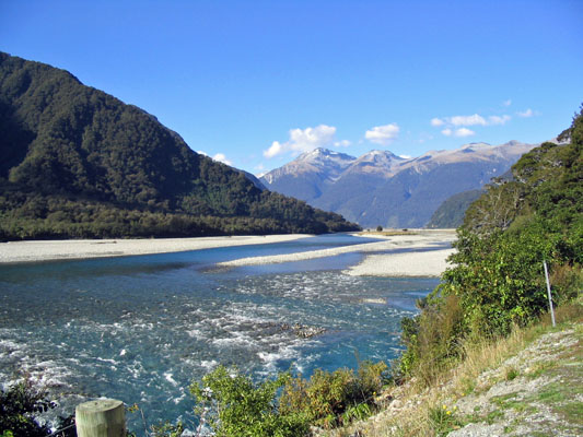 nzb