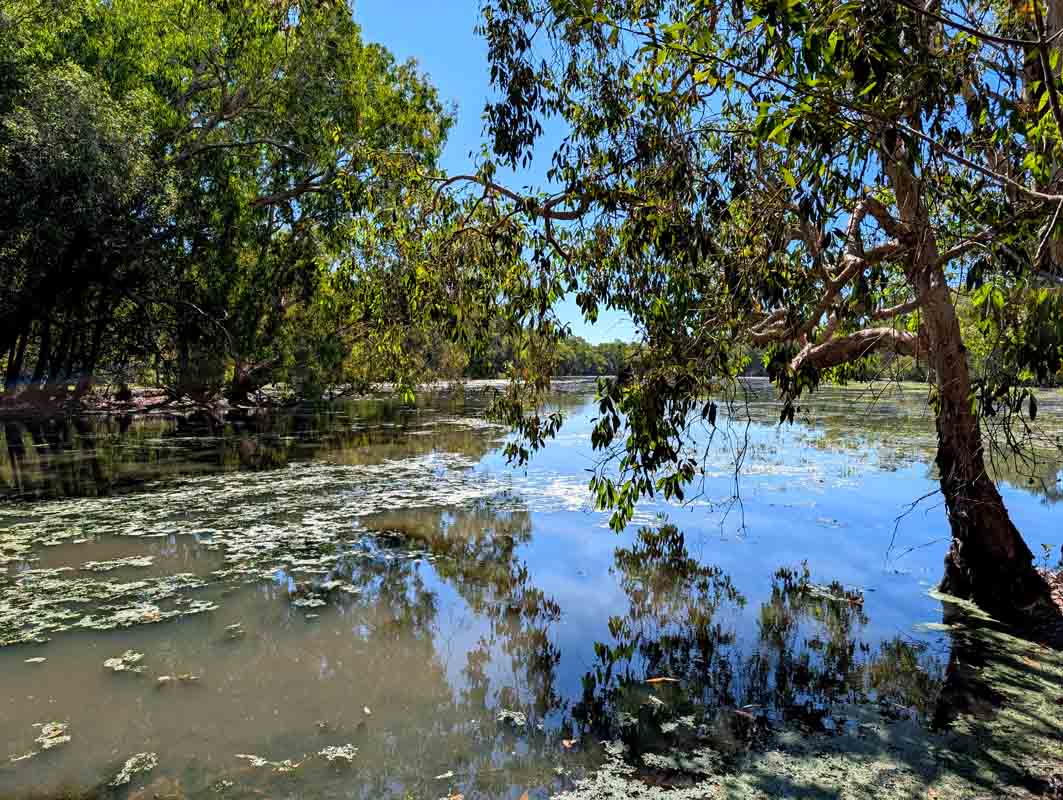 Nice break at a bllabong on the way Cobourg Peninsula in Arnhem Land