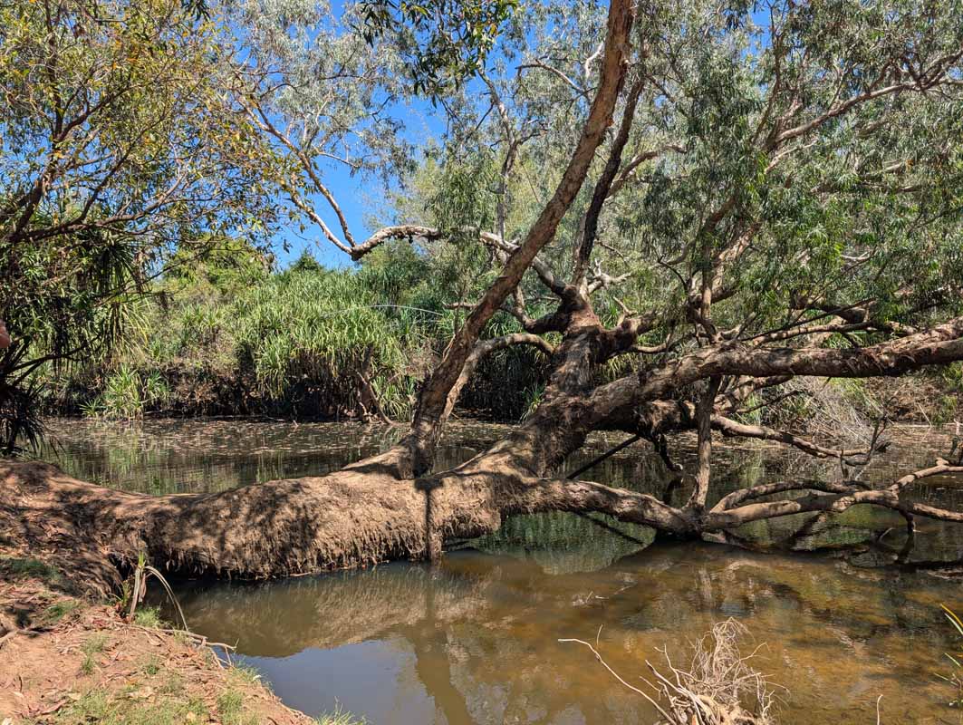 lunch breaks on the way to arnhem land