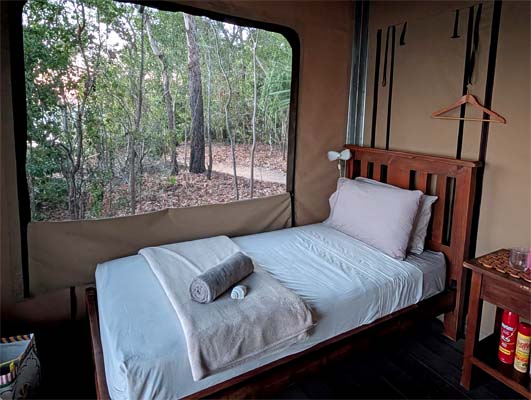 Glamping at the Cobourg Pensinsula