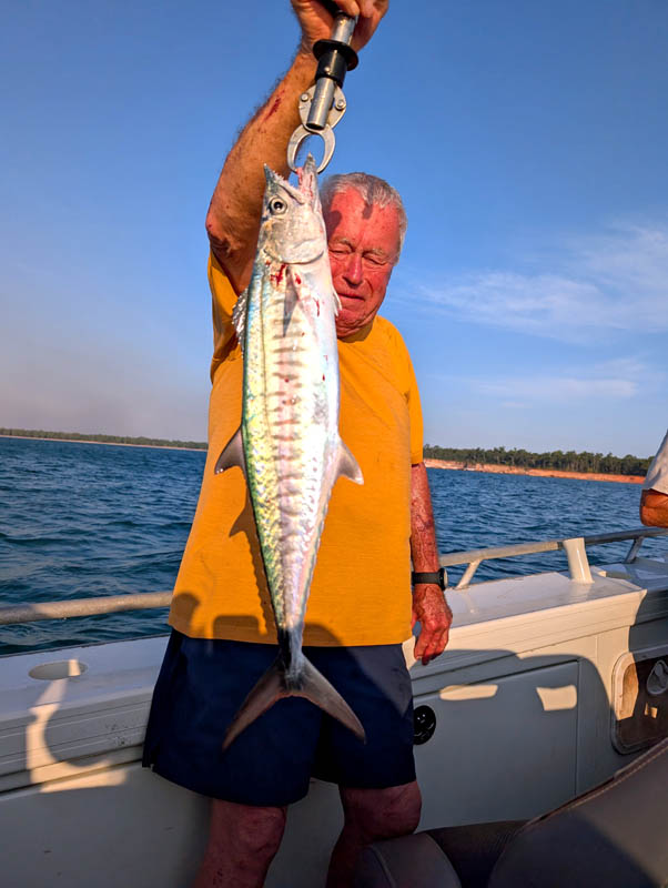 fish3