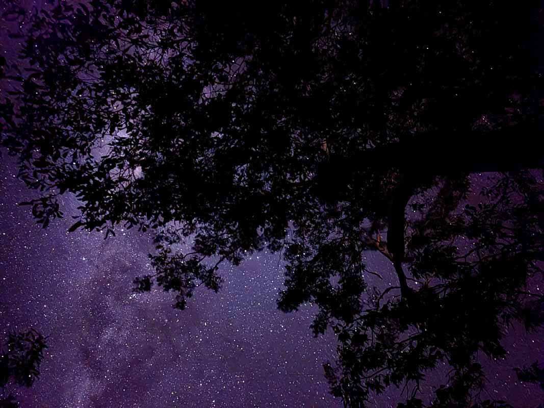 Glamping:  unwind, sip a glass of wine, and lose ourselves under a sky blazing with stars.