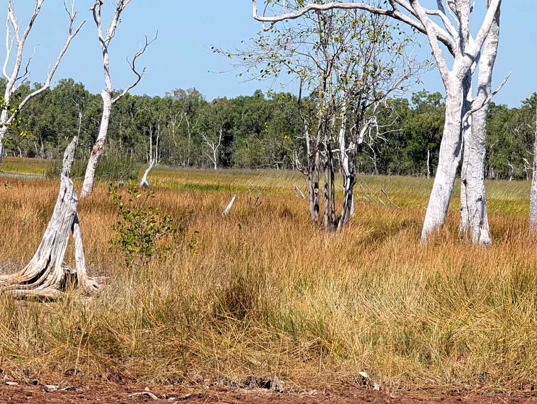 smith wetland