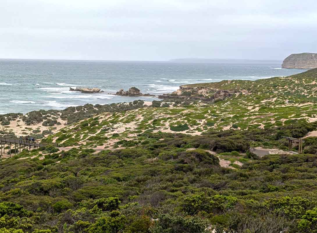The rugged coastline Seals Bay