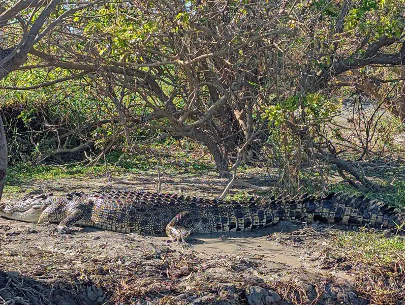 Corroboree Billabong3