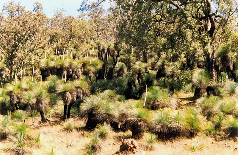 Crawney Pass National Park 1